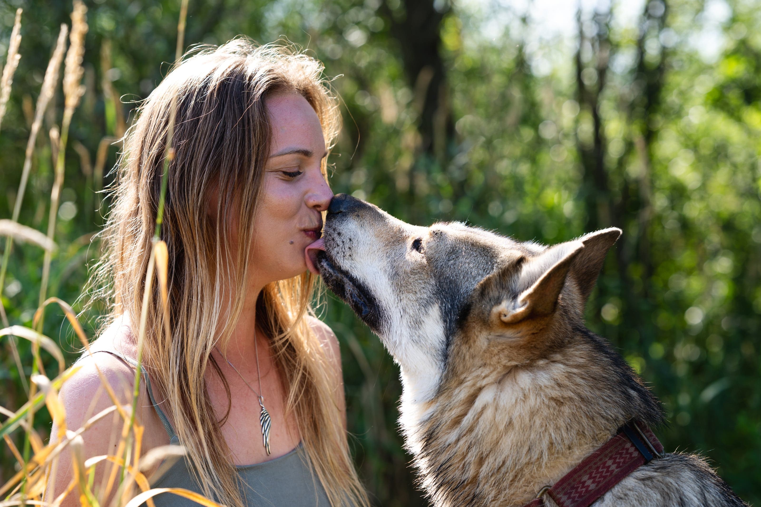 HART dog photography