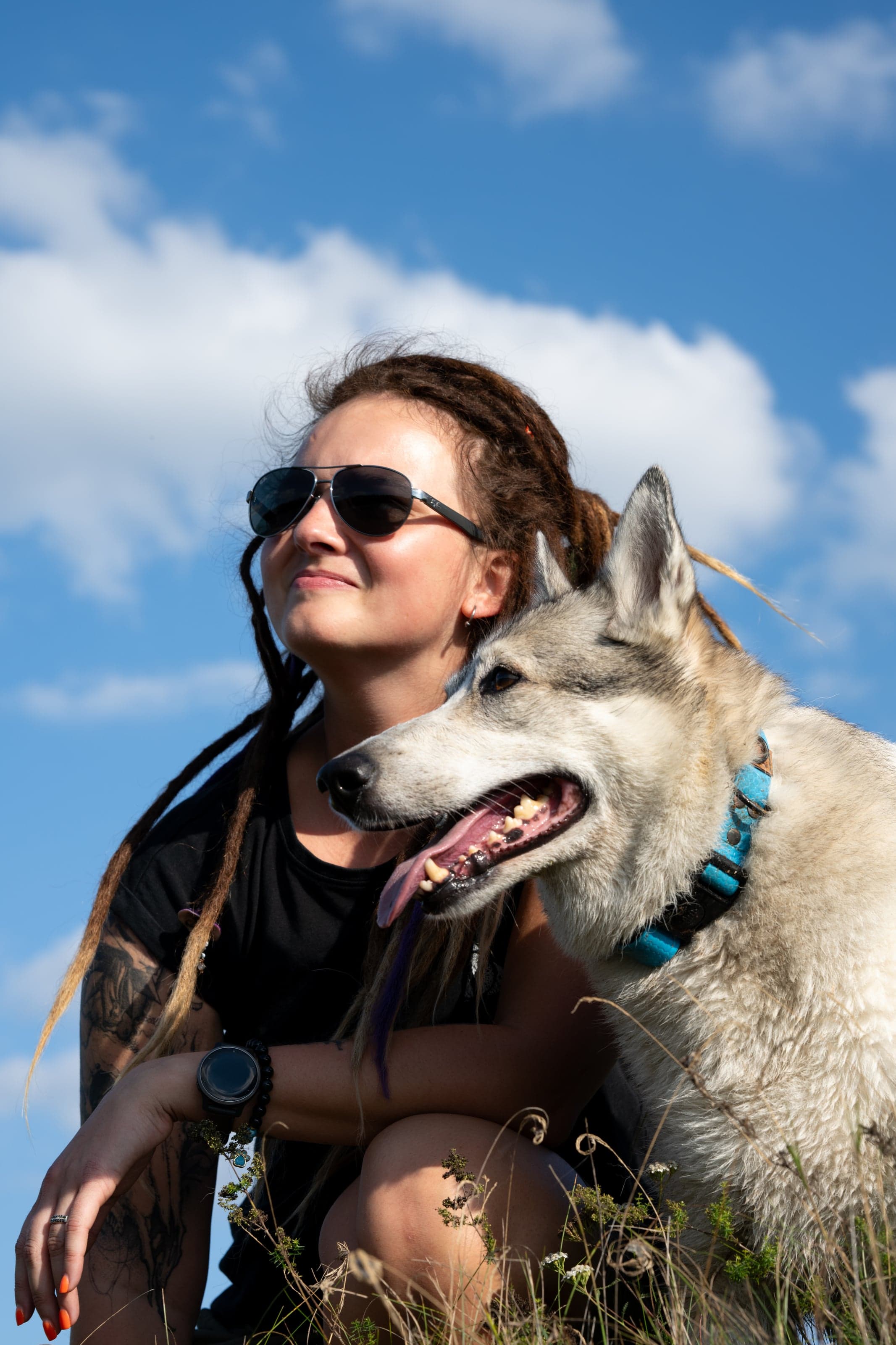 HART dog photography