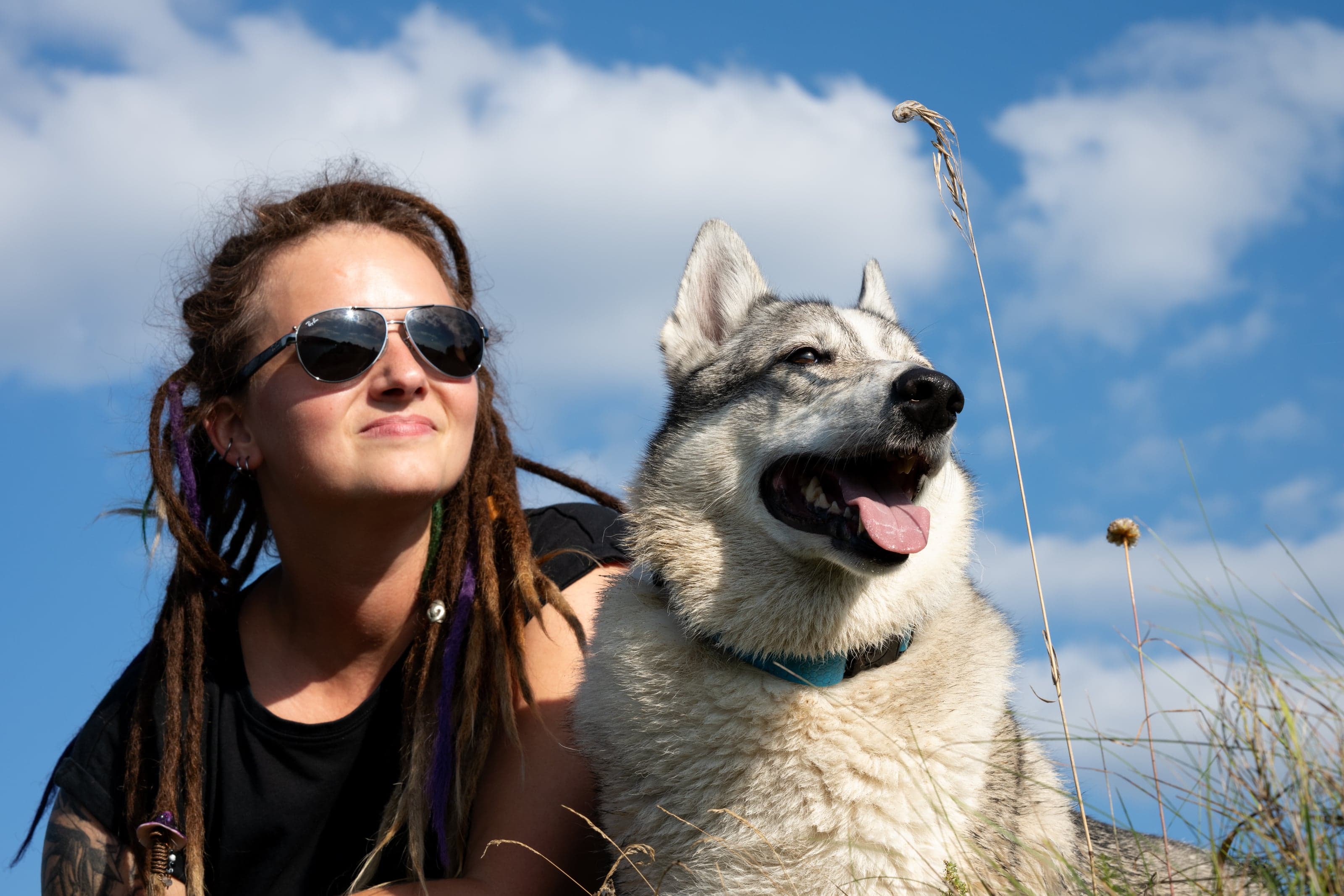 HART dog photography