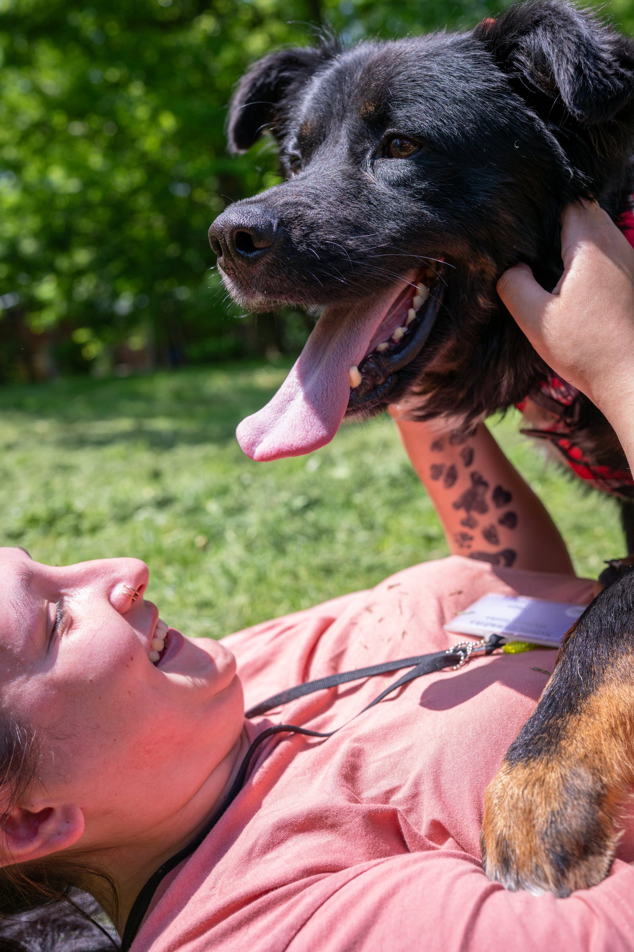 HART dog photography